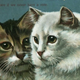 Illustration for article titled Suffragette Cats Are the Original Cat Ladies